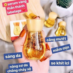 Serum Dưỡng Ẩm Lebelage Heeyul Premium 24k Gold Essence 30mlx2