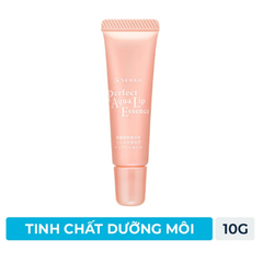 Bộ Tinh Chất Dưỡng Môi Senka 10g + Son 4.5g