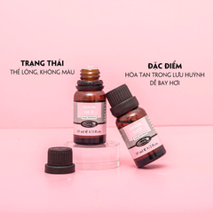 Khử Mùi Lưu Huỳnh Bobo Nail Odor Out 15ml
