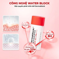 Sáp Chống Nắng Dermablock Mild Sun Stick Spf 50+/pa++++ 16g