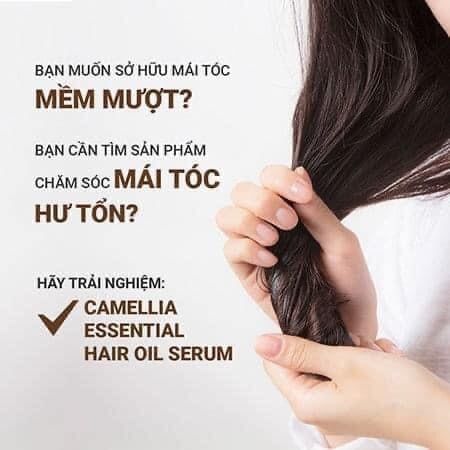 Dầu Dưỡng Tóc Hoa Trà Innisfree Camellia Essential Hair Oil Serum 100ml