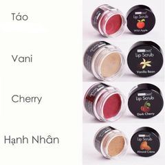 Tẩy Tế Bào Chết Môi Beauty Treats 10.5g