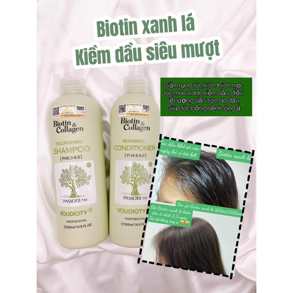 Bộ Gội Xả Biotin & Collagen Pasiori Xanh Lá Phục Hồi Kiểm Soát Dầu (New) 500ml | An Beauty Shop