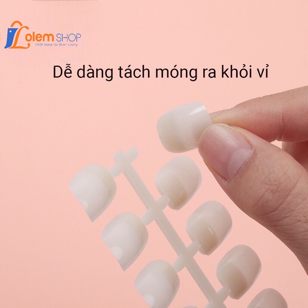 Vỉ móng mẫu phom vuông tập sơn (1 bịch 10 vỉ 240 móng)