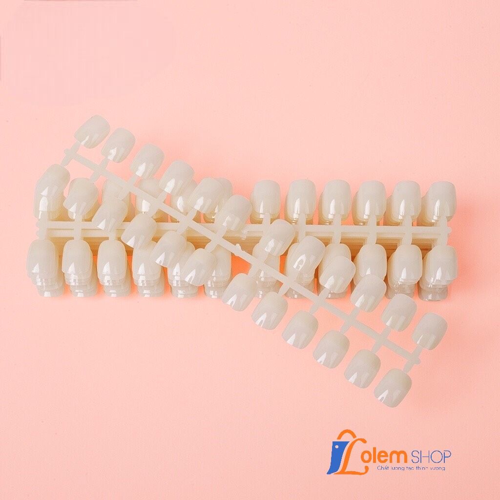 Vỉ móng mẫu phom vuông tập sơn (1 bịch 10 vỉ 240 móng)