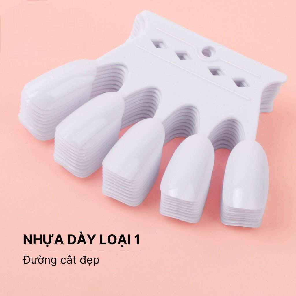 Móng Que Vương Miện  (túi 50 Móng), dùng tập sơn tập vẽ, loại tốt