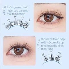 Mi Chụm Mlen Diary Mi Hoa Hướng Dương Bản Trung Hộp Nhỏ