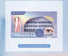 Mi Chụm Mlen Diary Mi Hoa Hướng Dương Bản Trung Hộp Nhỏ