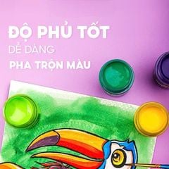 Màu nước Thiên Long 8-12 Màu