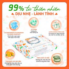Khăn Ướt Vệ Sinh Vùng Kín Femfresh 10 Tờ
