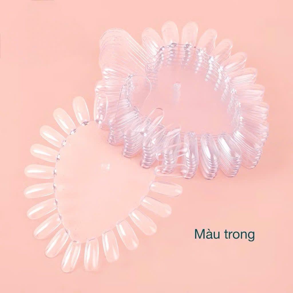 Móng Vĩ Tim Quạt