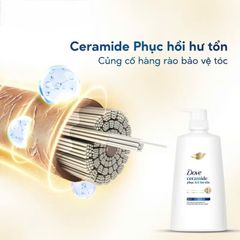 Kem Xả Dove 320g-610g Phục Hồi Hư Tổn
