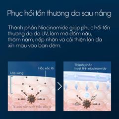 Serum Anessa180ml Night Sun Caredưỡng Và Phục Hồi Da Sau Nắng