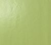 Arch Acid Green Gloss