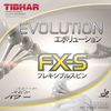 Mặt Bóng bàn TIBHAR Evolution FX - S