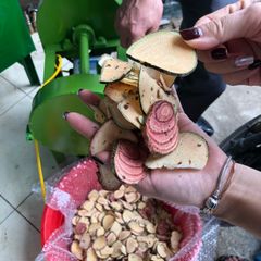 Máy thái dược liệu, máy thái thuốc đông y có bánh xe đẩy TT22