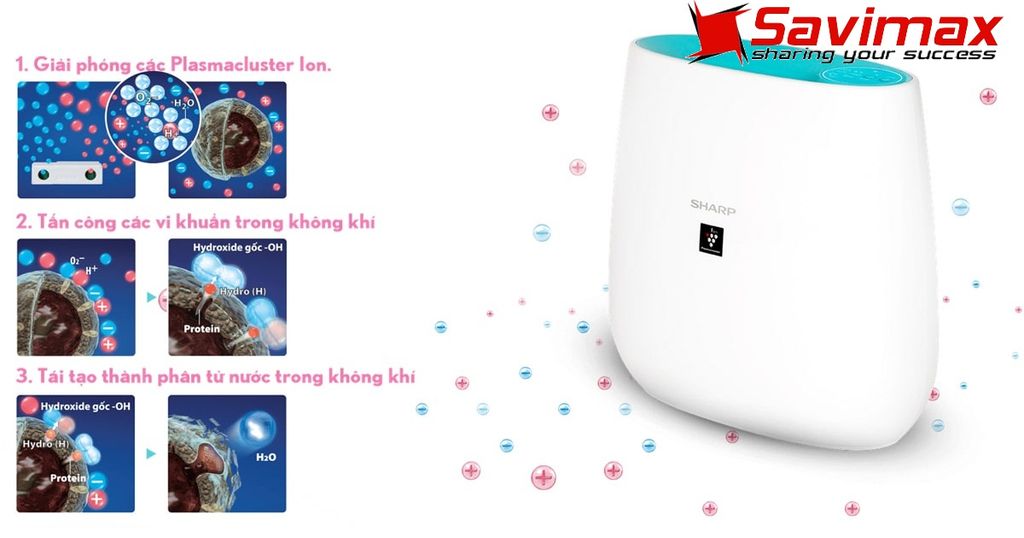 Máy lọc không khí Sharp FP-J30E-A