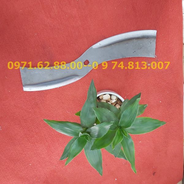 Lưỡi dao lắp máy thái chuối, băm bèo