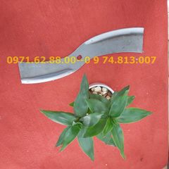 Lưỡi dao lắp máy thái chuối, băm bèo
