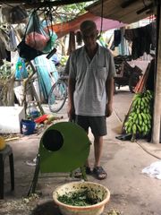 Máy băm chuối mịn 1.1kw