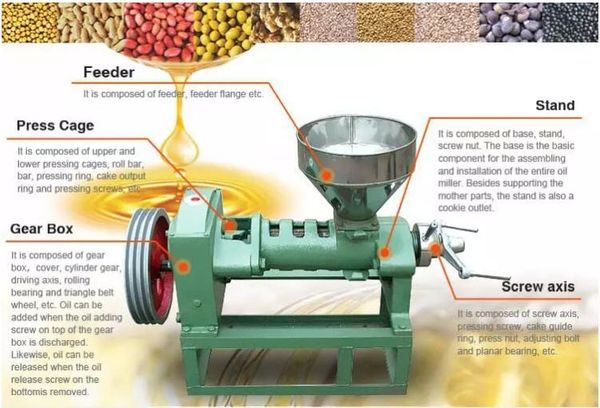 Máy ép dầu thực vật 6YL-68 (60kg/h)