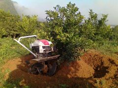 Máy xới đất Kachita Model JP-1WG4