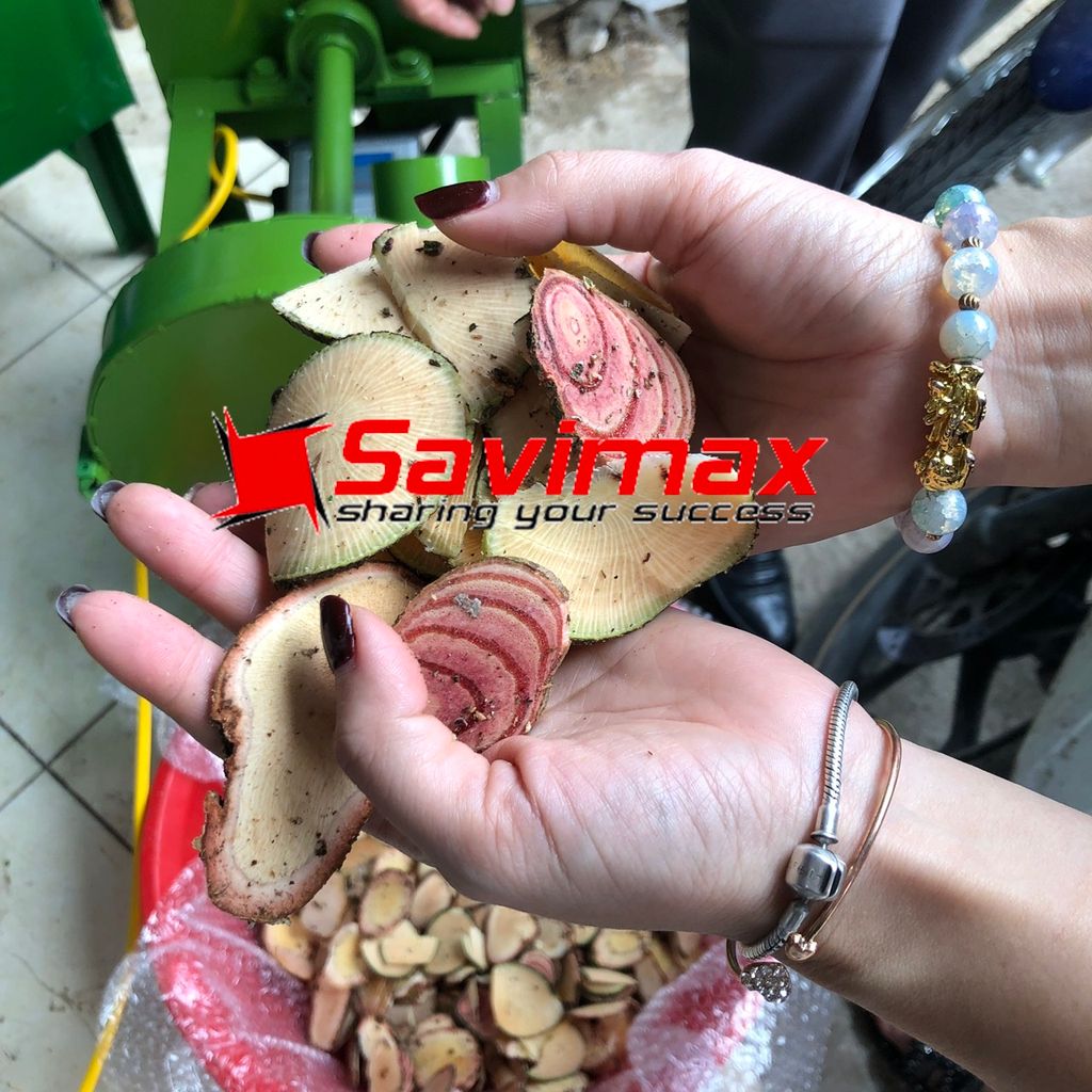 Máy thái dược liệu, máy thái thuốc đông y có bánh xe đẩy TT22