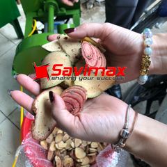 Máy thái dược liệu, máy thái thuốc đông y có bánh xe đẩy TT22