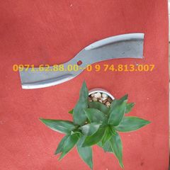 Lưỡi dao lắp máy thái chuối, băm bèo