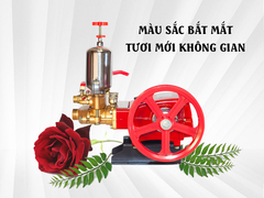 Máy rửa xe dây đai Savi 2HP