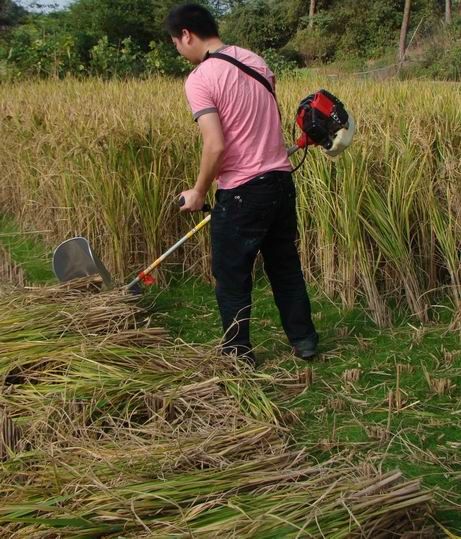 Máy gặt lúa cầm tay động cơ GX35