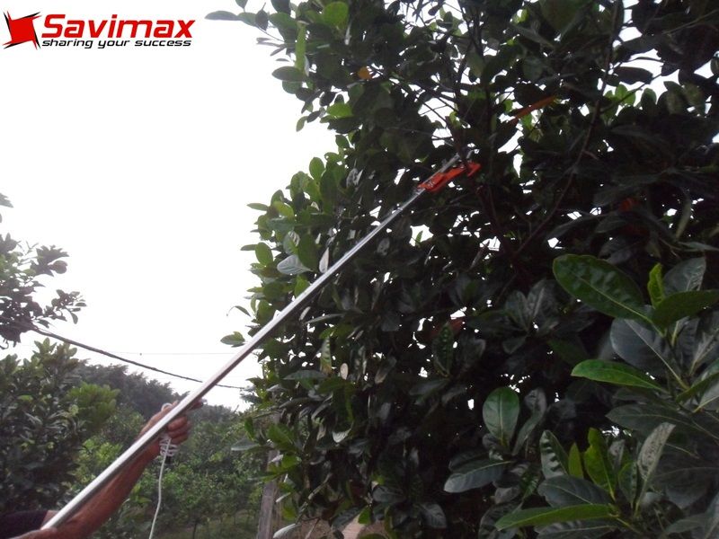 Kéo cắt cành cao 5m dây giật Savi5M