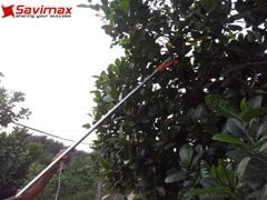 Kéo cắt cành cao 5m dây giật Savi5M