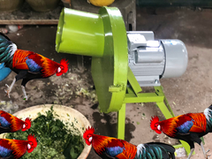Máy băm chuối mịn 1.1kw