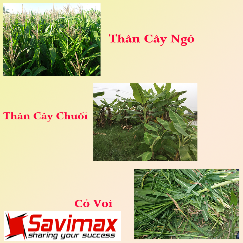 Máy băm cỏ voi công nghiệp cổ cao OKASU OS55