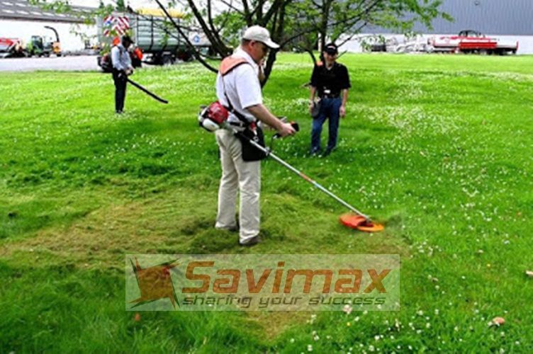 Máy cắt cỏ Vinafarm 236VNVIP