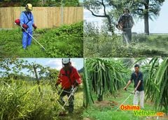 Máy cắt cỏ Oshima 430 bạc