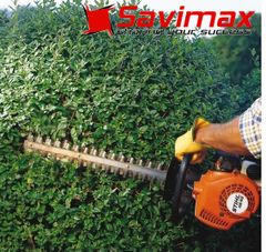 Máy cắt tỉa hàng rào Stihl HS45
