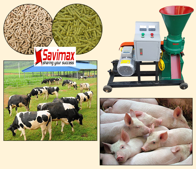 Máy ép cám viên trục đứng năng suất 150kg/h ( đủ bộ )