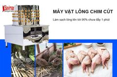Máy vặt lông chim cút, gà ác, bồ câu sạch 99%