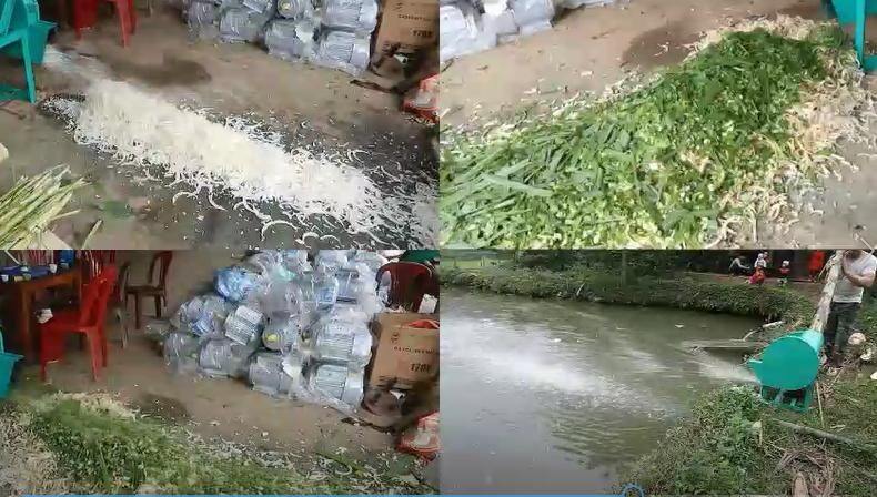Máy thái chuối băm cỏ thô Savi 2020 siêu tiện dụng