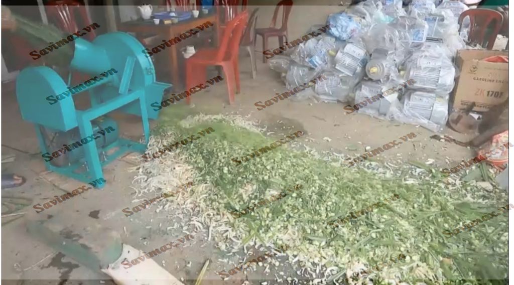 Máy thái chuối băm cỏ thô SAVI 2020 cải tiến