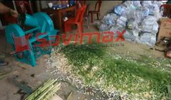 Máy thái chuối băm cỏ thô SAVI 2020 cải tiến
