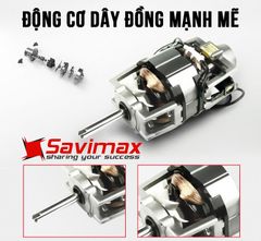 Máy thái thịt tự động SL300E