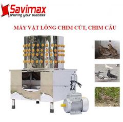 Máy vặt lông chim cút, gà ác, bồ câu sạch 99%
