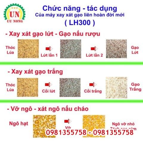 Máy xay xát lúa gạo liên hoàn LH300