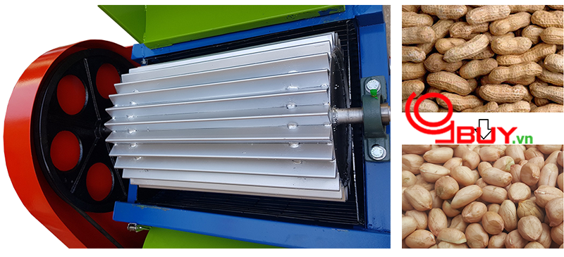 Máy bóc vỏ lạc 2 quạt gió BVL - 2 QG