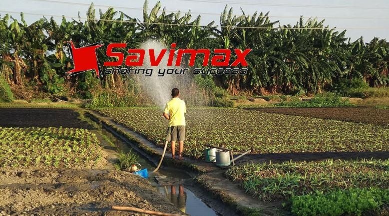 Máy bơm nước dạng thuyền động cơ 2 thì Savi BN