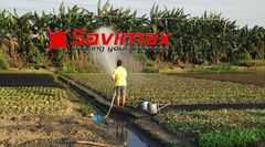 Máy bơm nước dạng thuyền động cơ 2 thì Savi BN