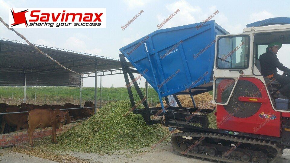 Máy cắt cỏ voi liên hoàn thế hệ mới SV2019